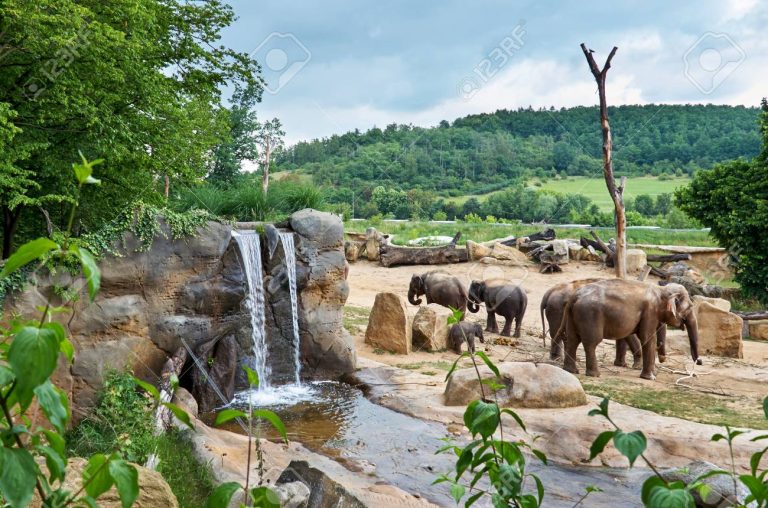 ZOO Praha